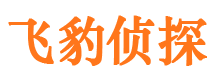 柳城市侦探调查公司